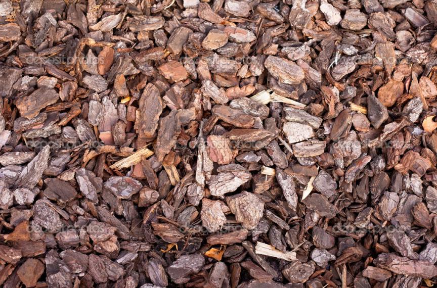 Naturel Çam Kabuğu